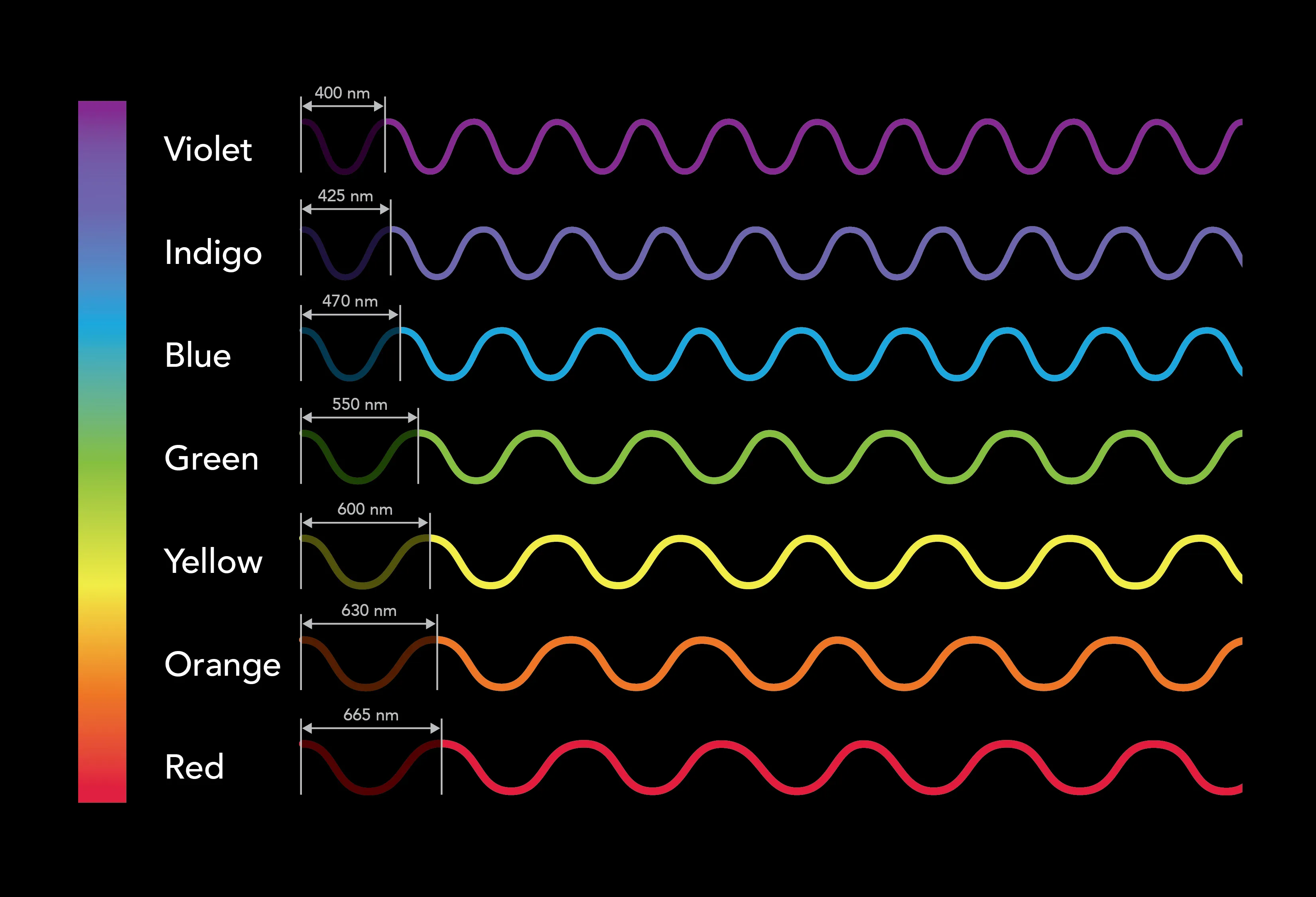 Colors of the visible light spectrum with wavelength waveforms